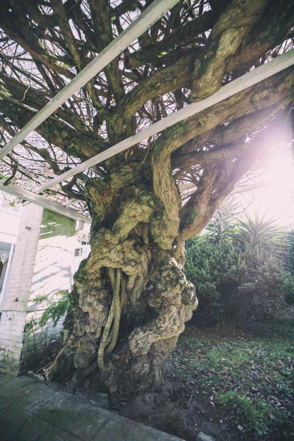 מלון וילאביצ'יוסה La Casona De Amandi מראה חיצוני תמונה