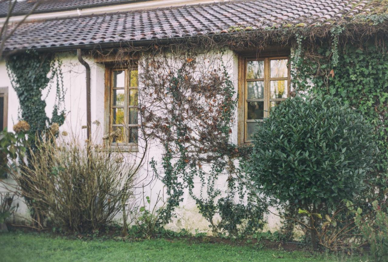 מלון וילאביצ'יוסה La Casona De Amandi מראה חיצוני תמונה